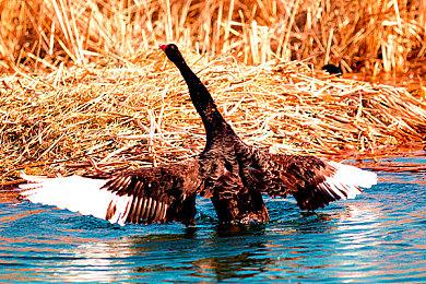 国产视觉小说《亿数追忆》Steam页面上线 发售日期待定