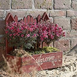 《漫野奇谭》宣布登陆主机 Steam特别好评