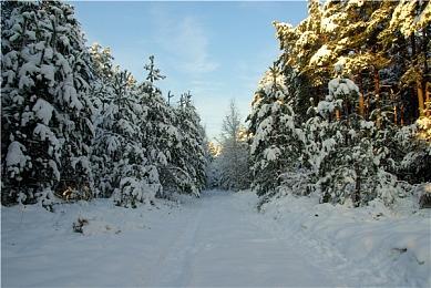 《星球大战：法外狂徒》不像育碧罐头：没有爬塔开图
